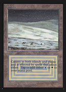 Tundra [Collectors' Edition]