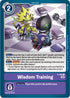 Wisdom Training (Blast Ace Box Topper)