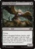 Gorging Vulture