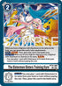 The Sistermon Sisters Training Gym