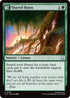Shared Roots