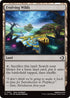 Evolving Wilds