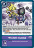 Wisdom Training (Reprint)