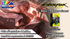 Cyberpunk TCG - Beta Release Event - Lundi 14 septembre 18h30