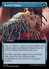 Braided Net (Extended Art) (Back)